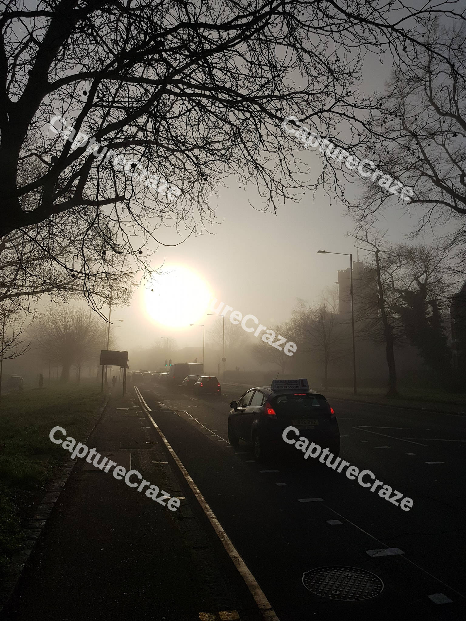 Foggy Commute